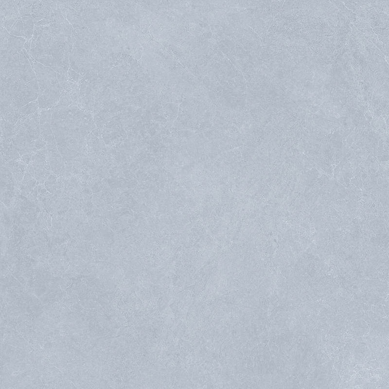 GT8905-纳斯